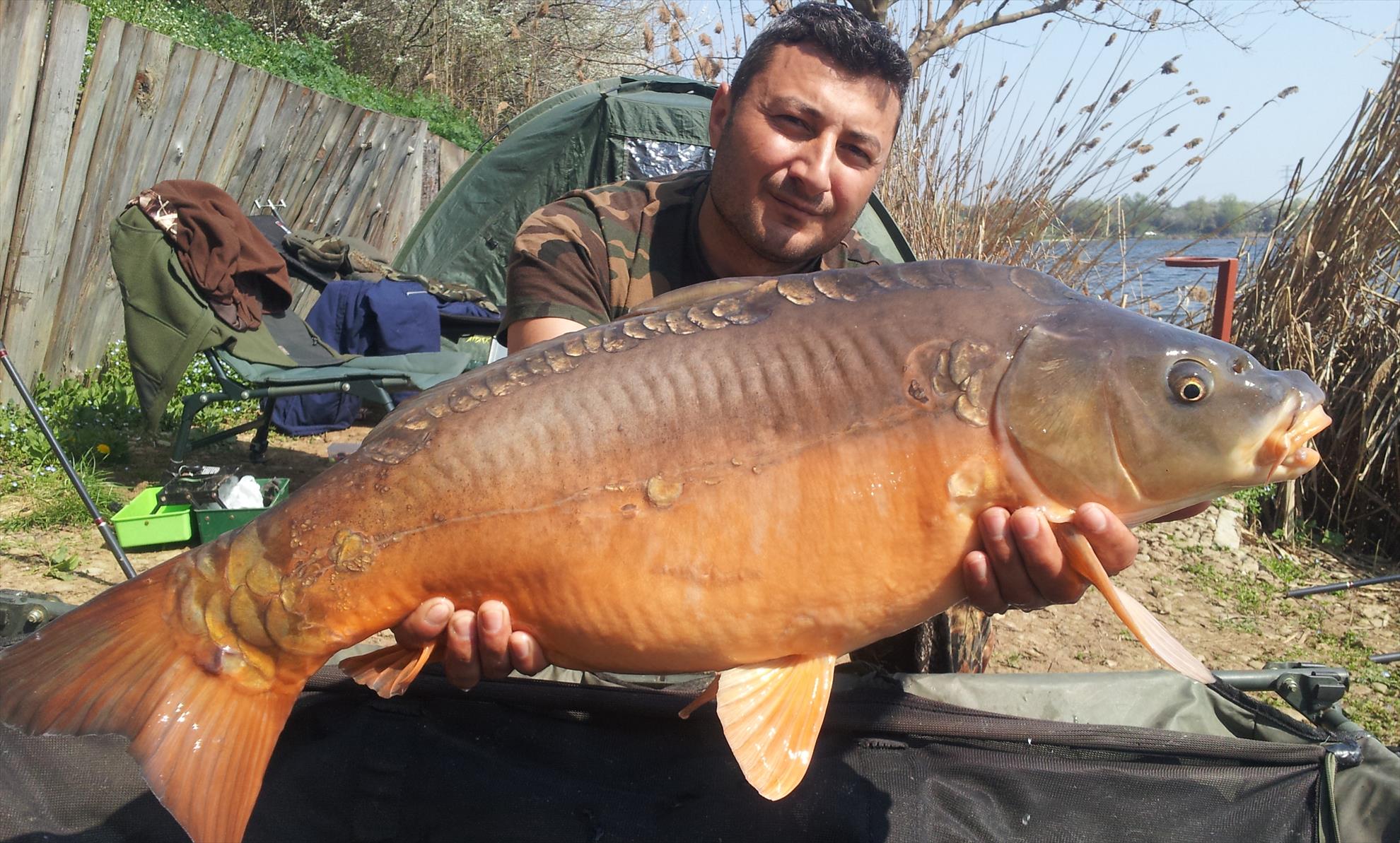 Tancabesti 28 - 29 mar. - 20140329120811.jpg